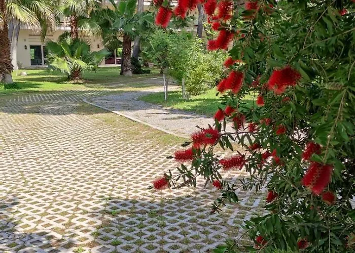 Hotel boutique: Nicotel Pineto